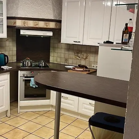 Monteurzimmer Ringingen דירה *